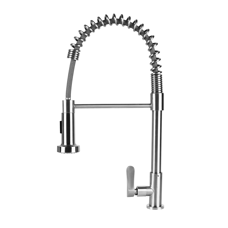 Sanipro Stainless Steel Spring Kitchen Faucet