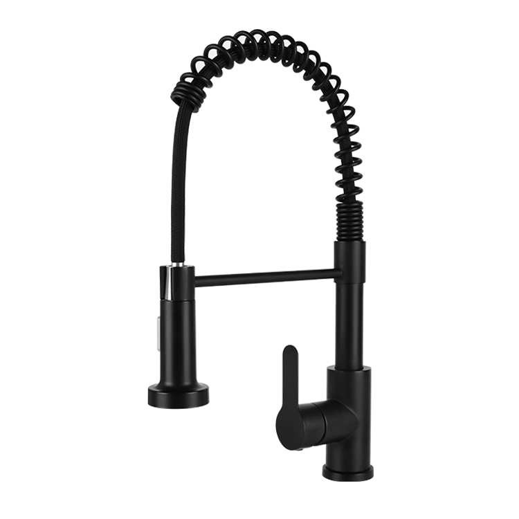 Sanipro Black Stainless Steel Spring Kitchen Tap